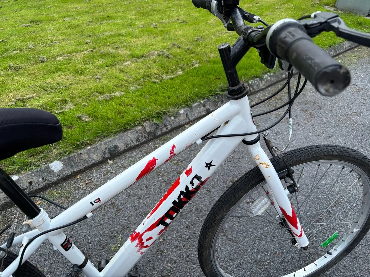 Bicycle - Image 2