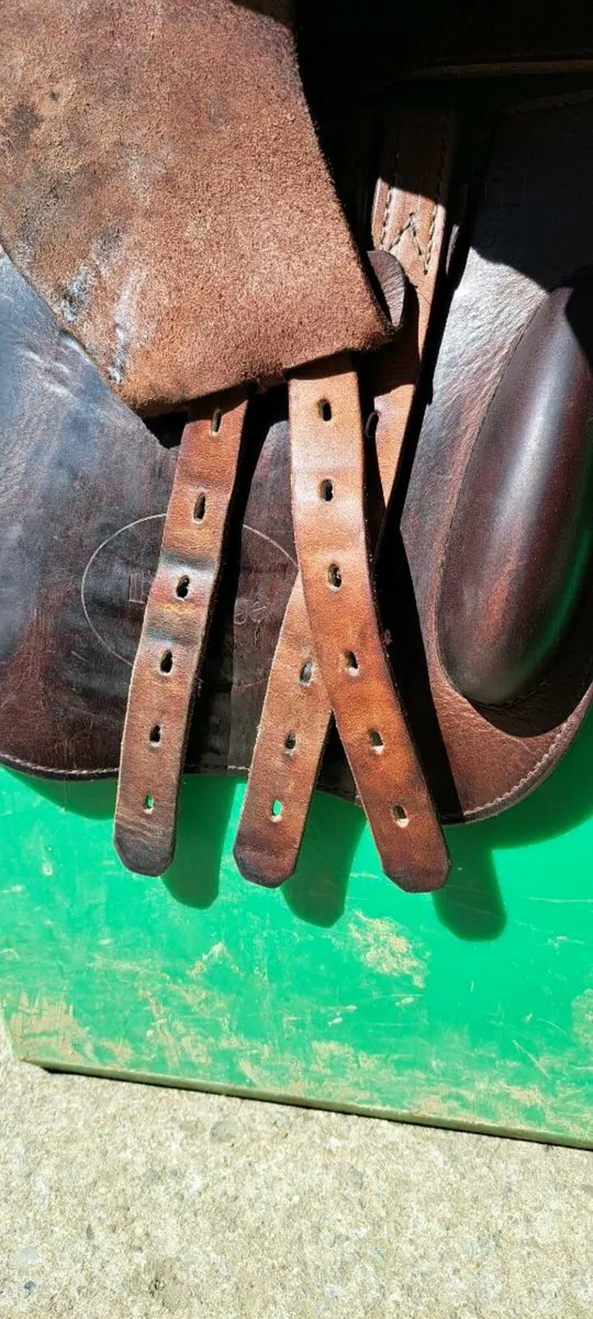 Well Minded 17" Prestige S1 Lux Jump Saddle - Image 3