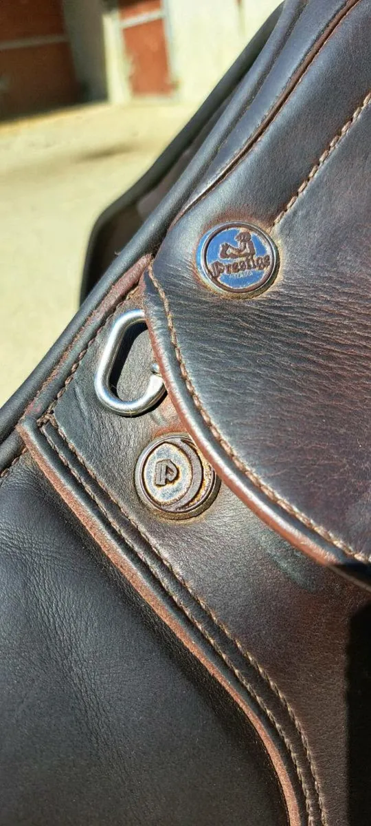 Well Minded 17" Prestige S1 Lux Jump Saddle - Image 4