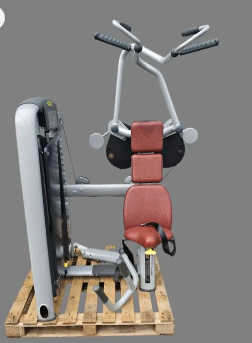Technogym selection vertical traction - Image 1