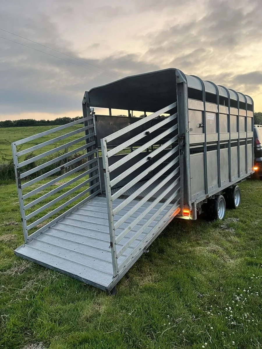 12x6 Ifor Williams Demountable Cattle Box - Image 2
