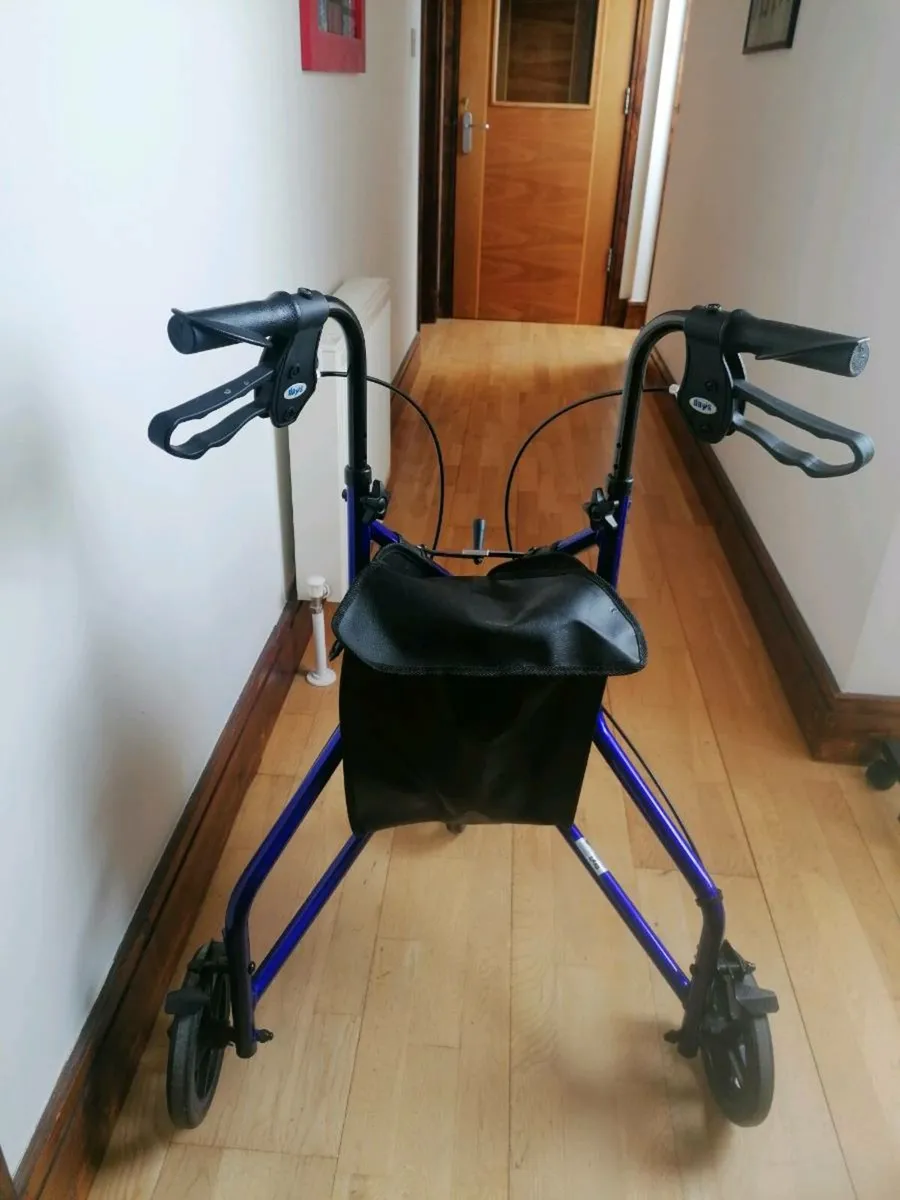 Tri Wheel Walker - Image 1