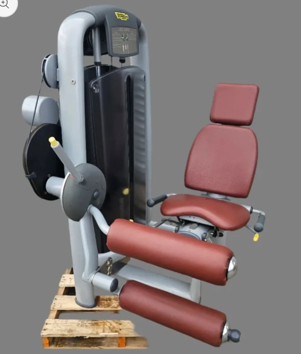 Technogym leg curl - Image 1