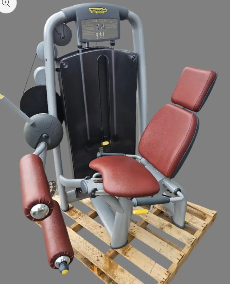 Technogym leg curl - Image 2
