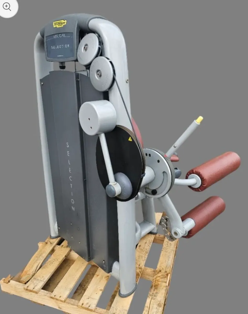 Technogym leg curl - Image 3