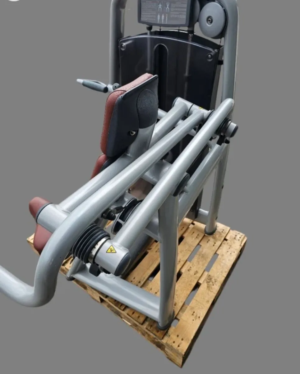 Technogym shoulder press - Image 4
