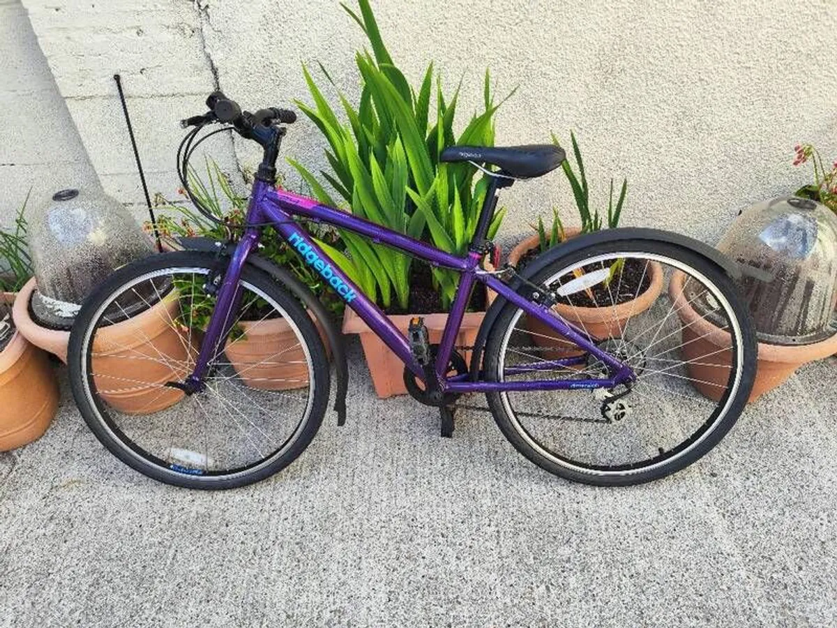 push bike
