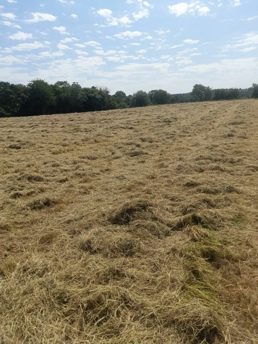 Hay small square bales.