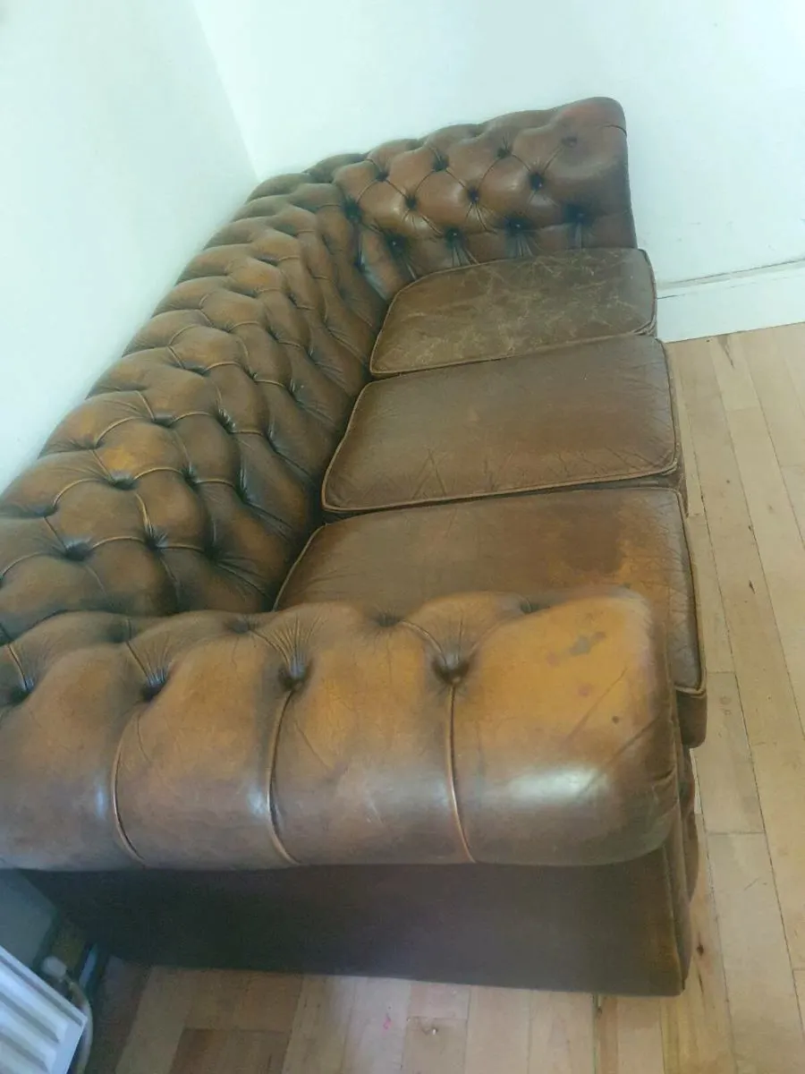 Antique chesterfield in rare cigar brown - Image 3