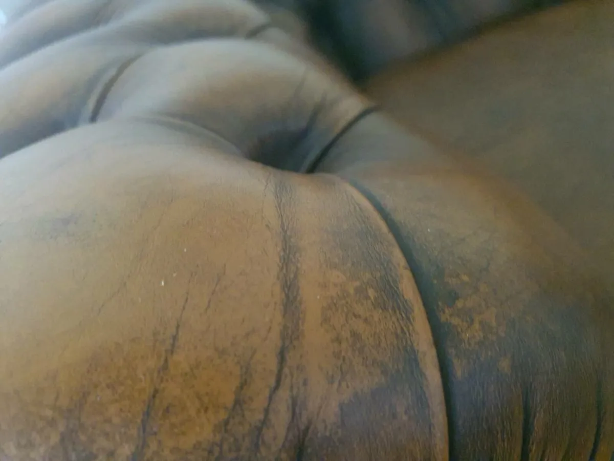 Antique chesterfield in rare cigar brown - Image 4