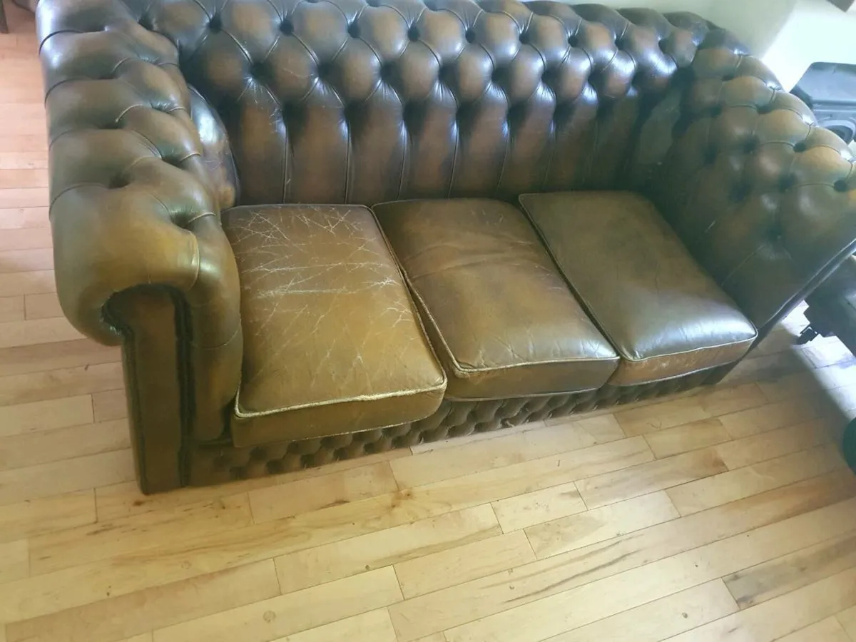 Antique chesterfield rare cigar brown medium back - Image 2
