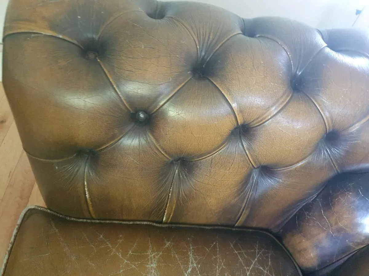 Antique chesterfield rare cigar brown medium back - Image 3