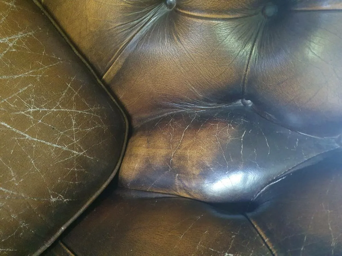 Antique chesterfield rare cigar brown medium back - Image 4