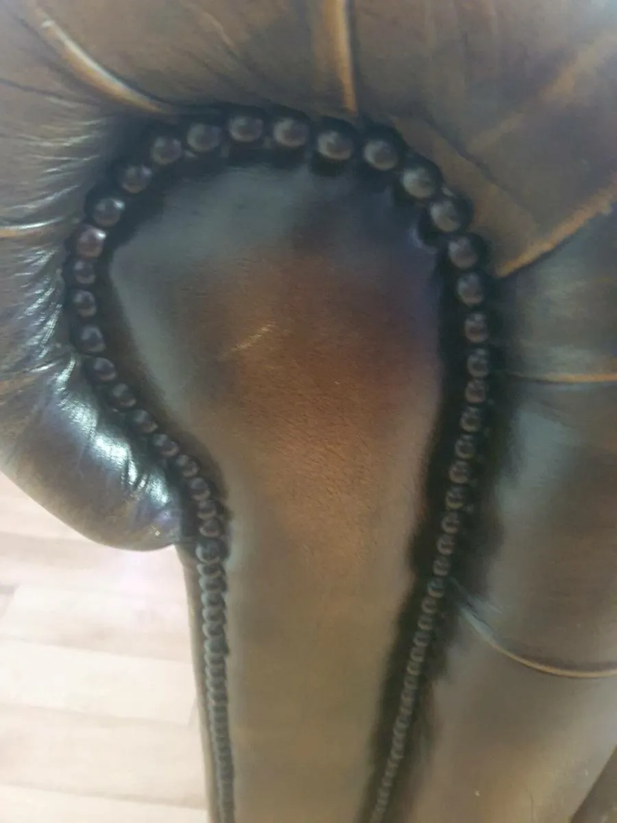 Antique chesterfield rare cigar brown medium back - Image 2