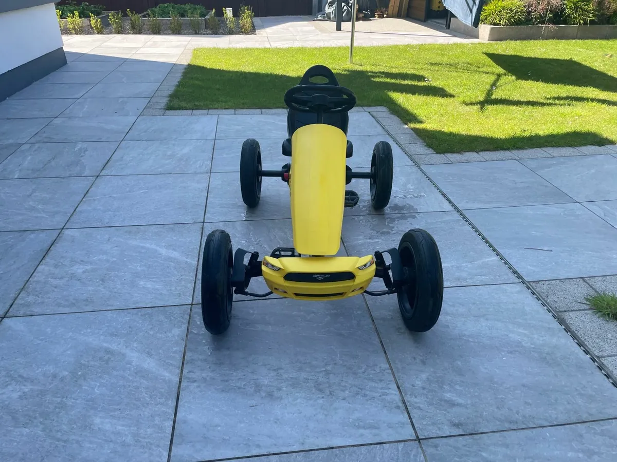 Berg Go Karts - A Two seater and a Single seater - Image 4