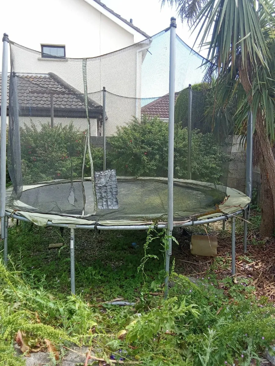 Trampoline