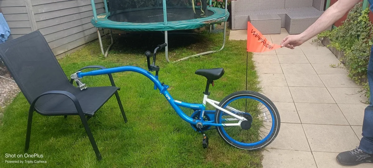 Tag Along Bike - Image 1