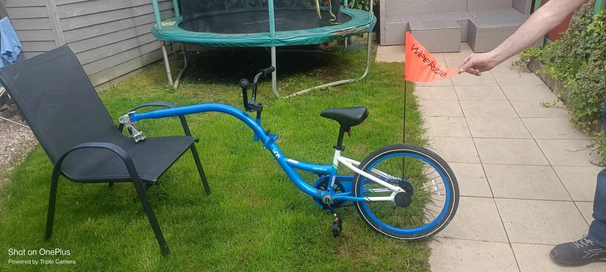 Tag Along Bike - Image 2