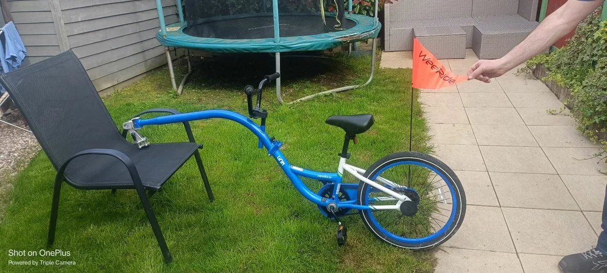 Tag Along Bike - Image 3