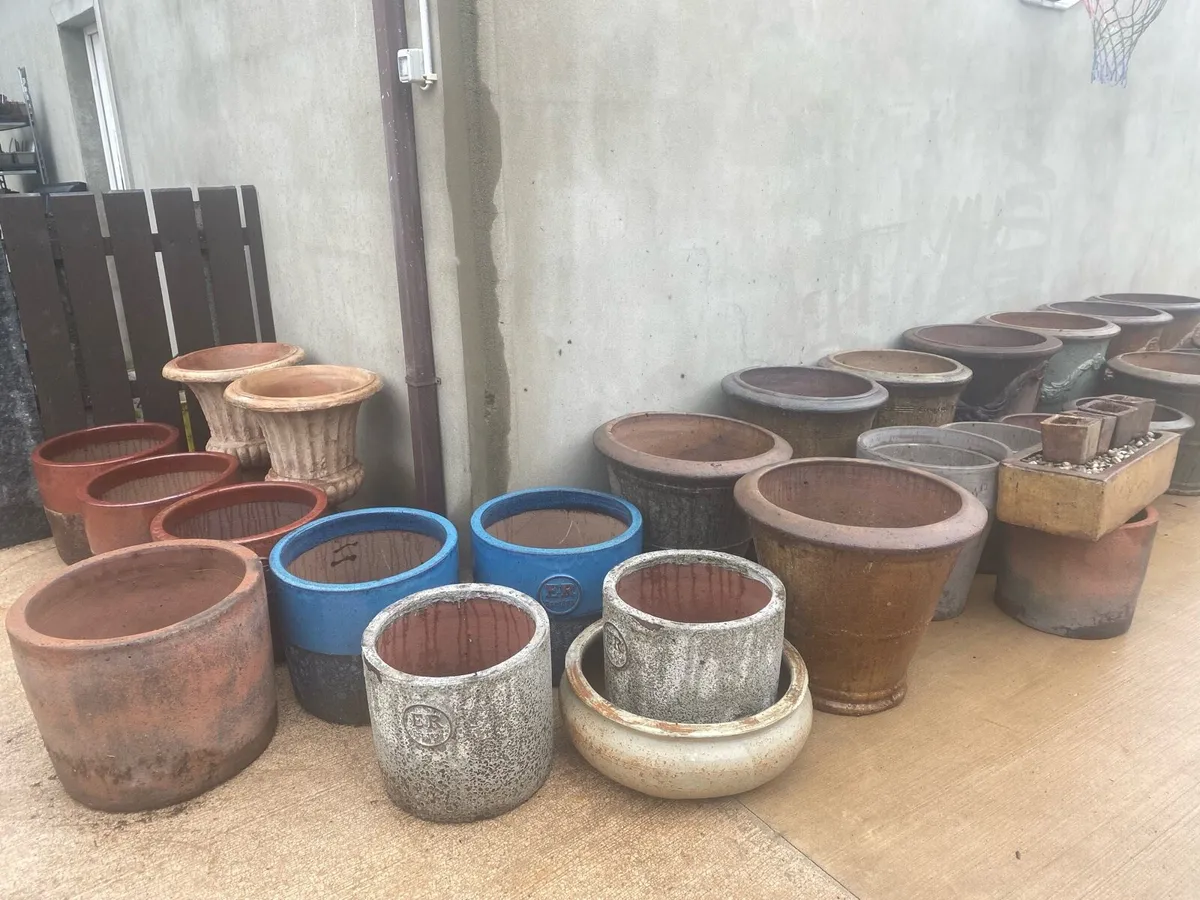 Errington Reay Flower pots - Image 1