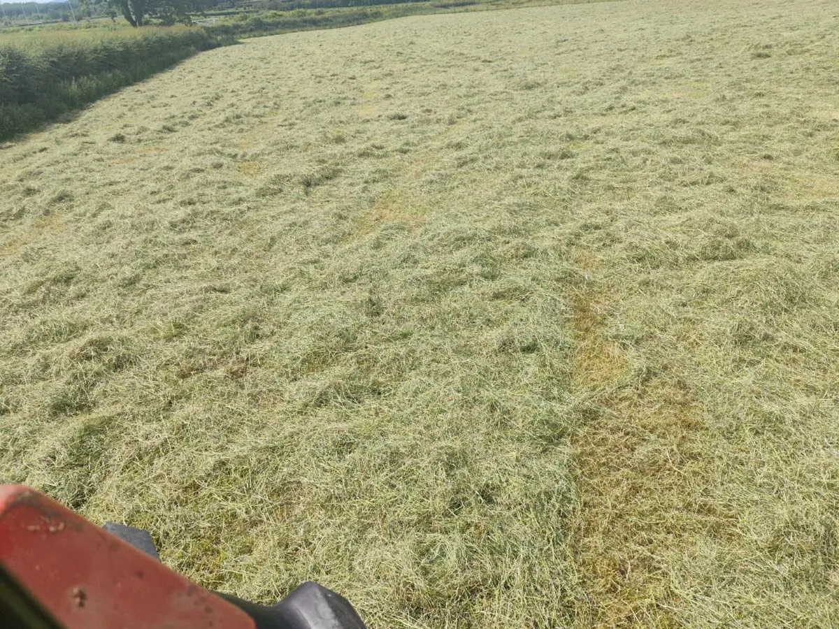 Small square bales