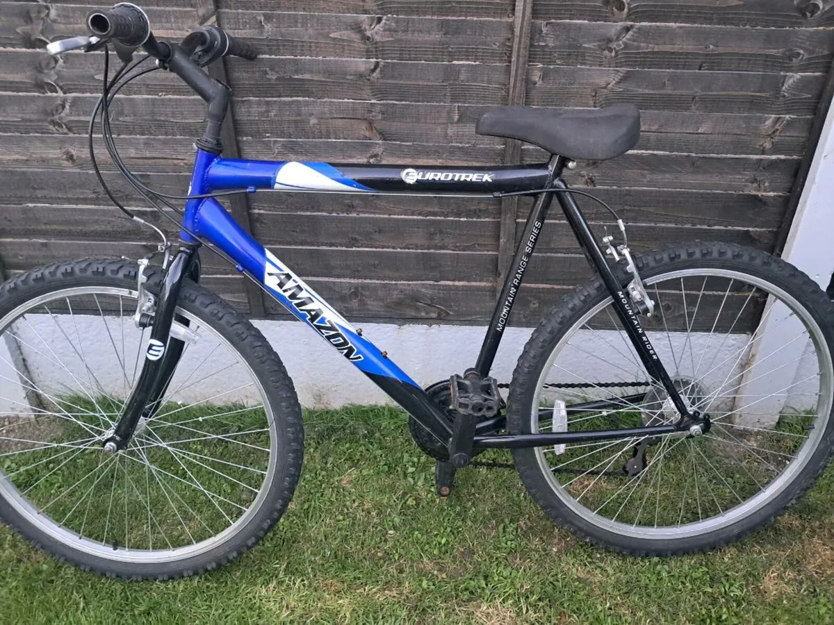 Bike - Image 1