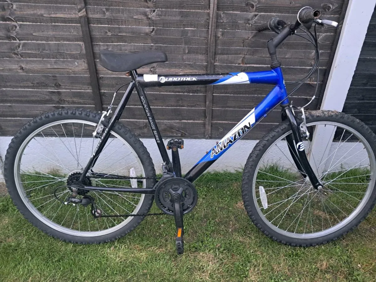 Bike - Image 2