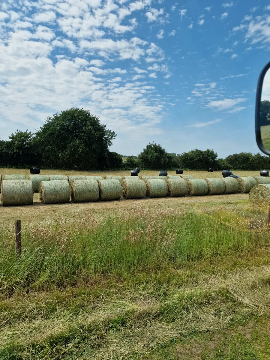 Haylage  Silage and Hay bales - Image 2