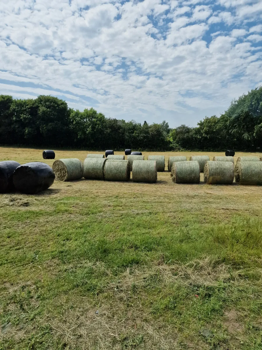 Haylage  Silage and Hay bales - Image 1