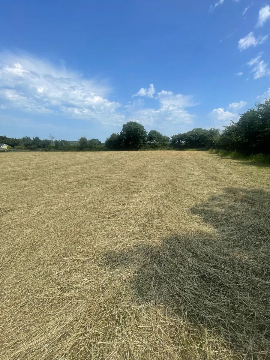 Baleing Friday 20thSmall square bales of hay - Image 1