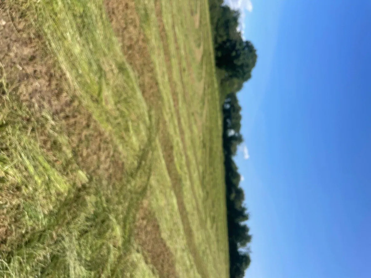 Baleing Friday 20thSmall square bales of hay - Image 3