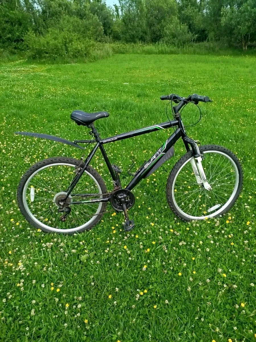 Bicycle - Image 1