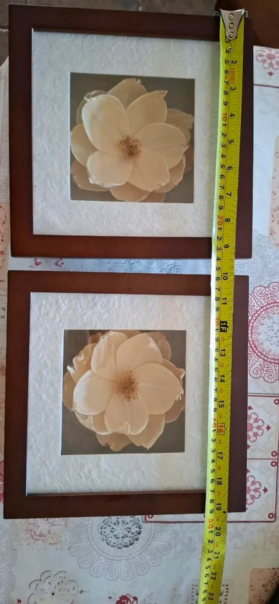 Pair framed flowers x 2  Excellent condition - Image 1