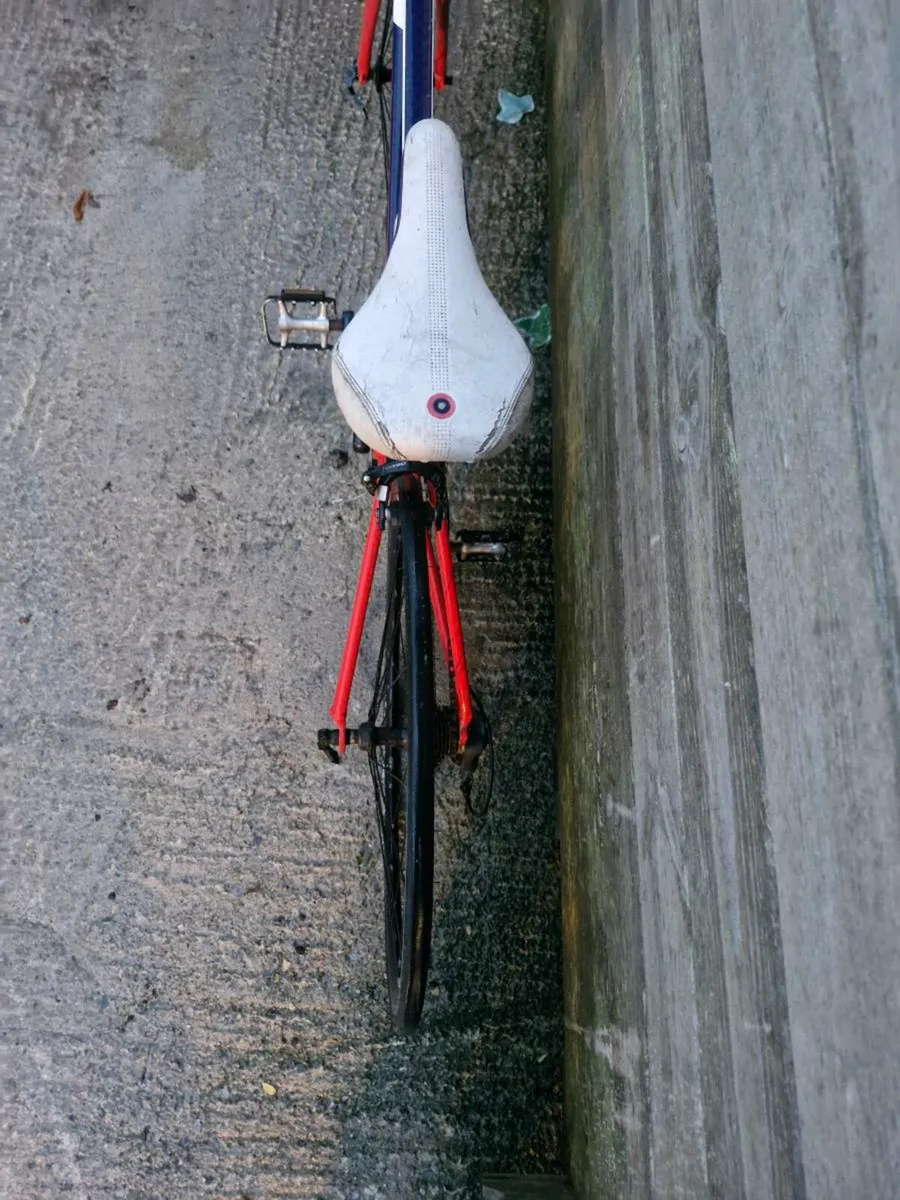 Racer bikes - Image 2