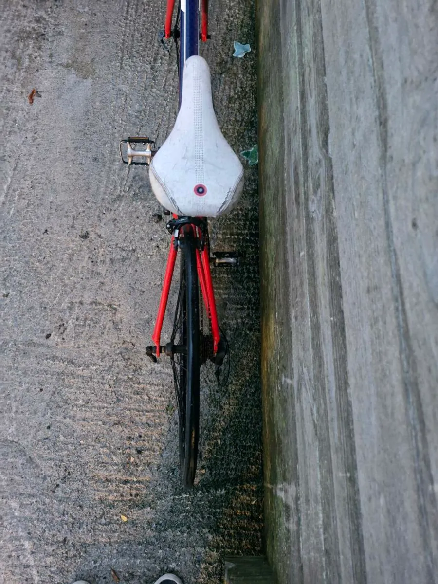 Racer bikes - Image 3