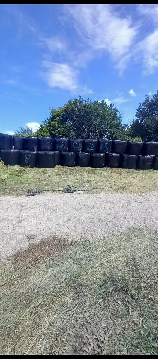 Bales of silage - Image 1