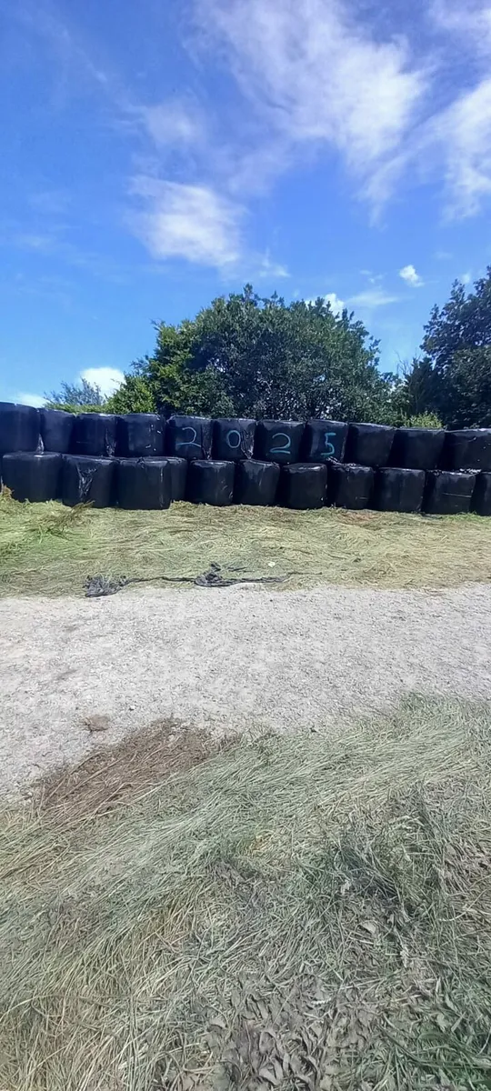 Bales of silage - Image 2