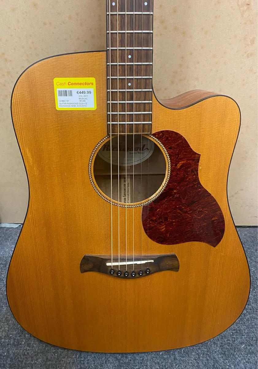 Richwood D220-CE Semi Acoustic Guitar - Image 2