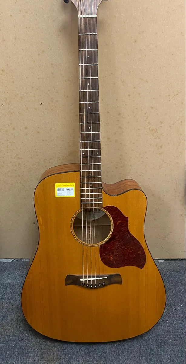 Richwood D220-CE Semi Acoustic Guitar - Image 3