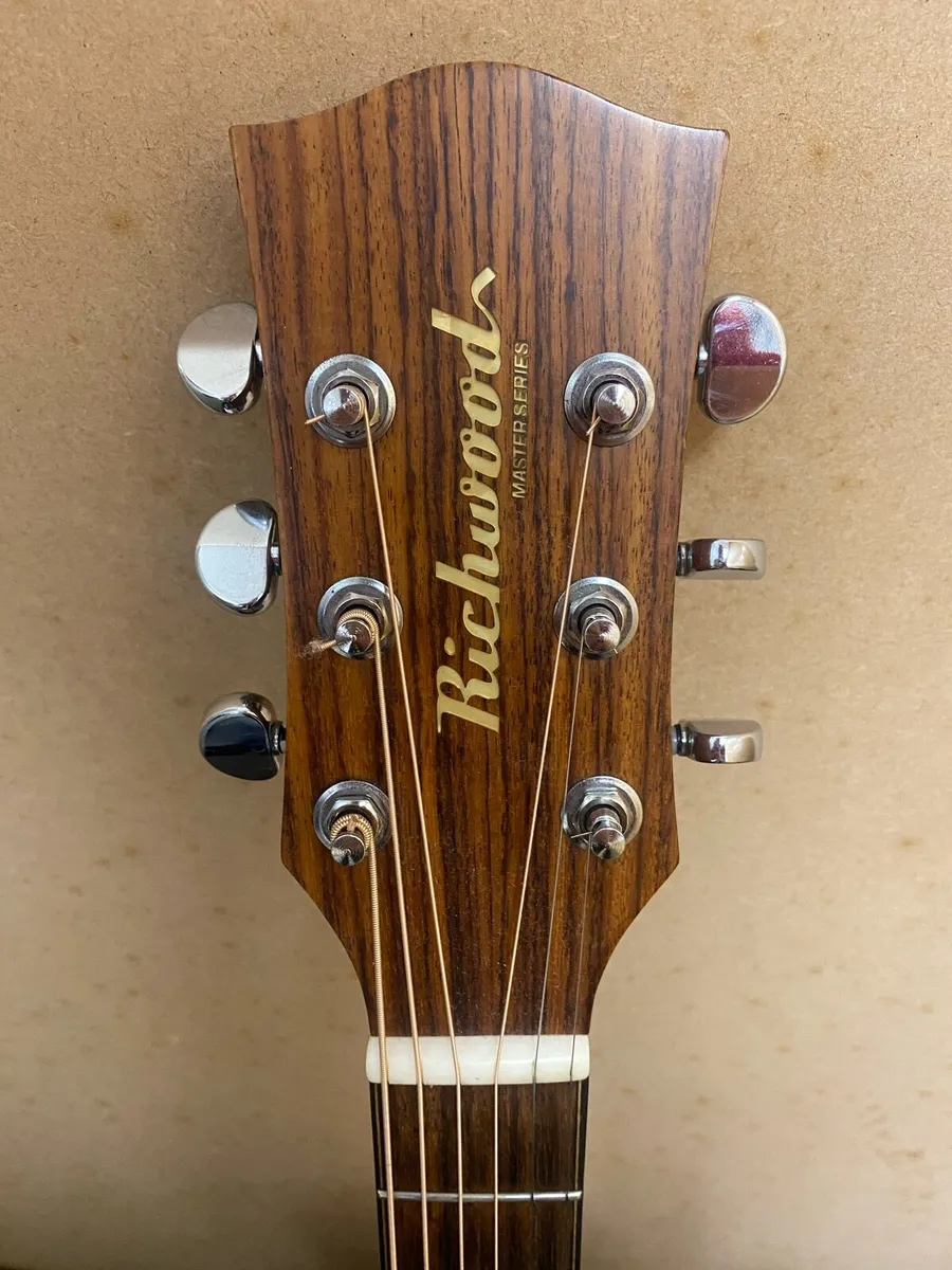 Richwood D220-CE Semi Acoustic Guitar - Image 4