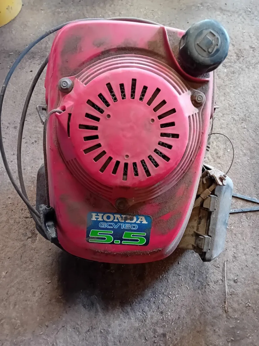Honda 55 hp engine