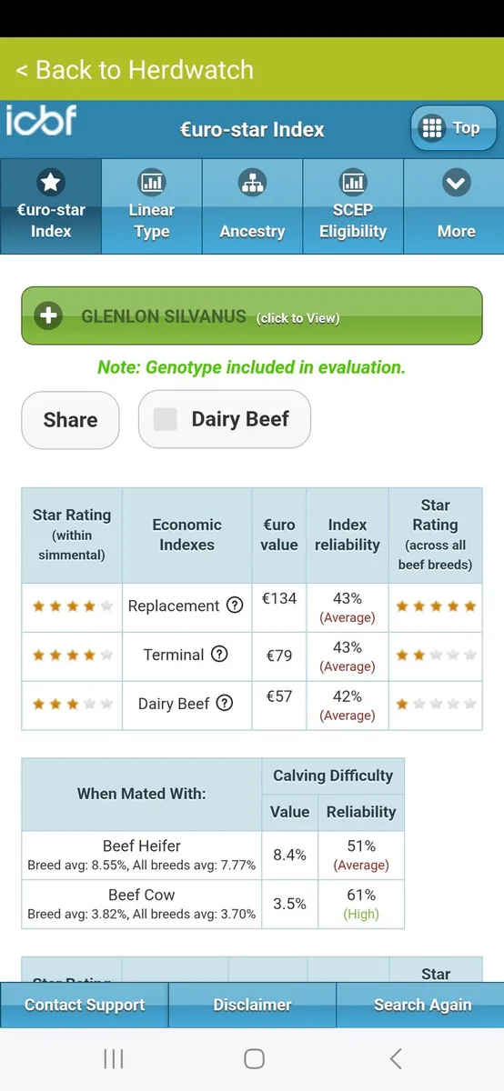 PBR Simmental Bull 5***** - Image 1