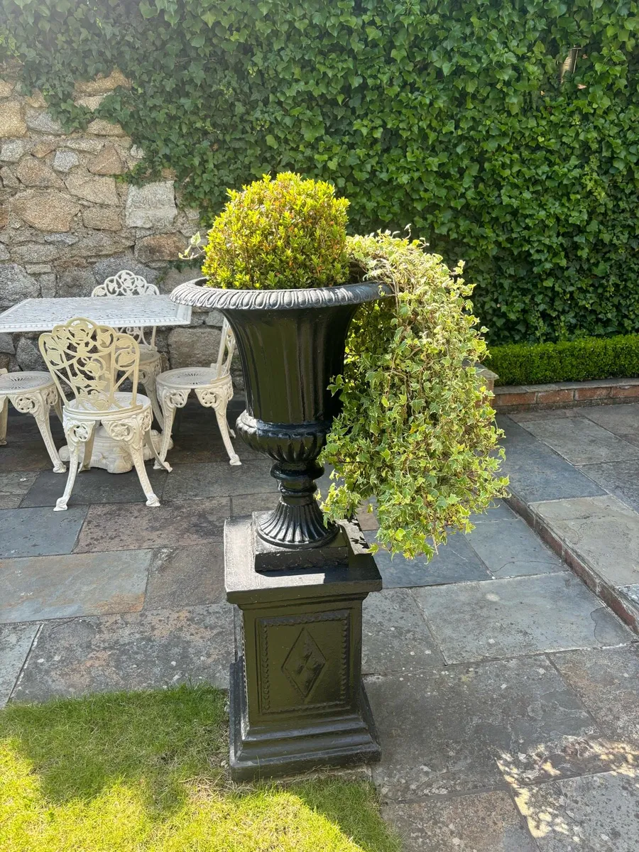 Black planter pot with topiary ( as see ) - Image 1