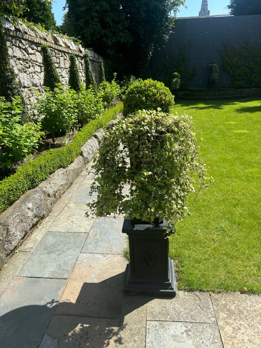 Black planter pot with topiary ( as see ) - Image 2