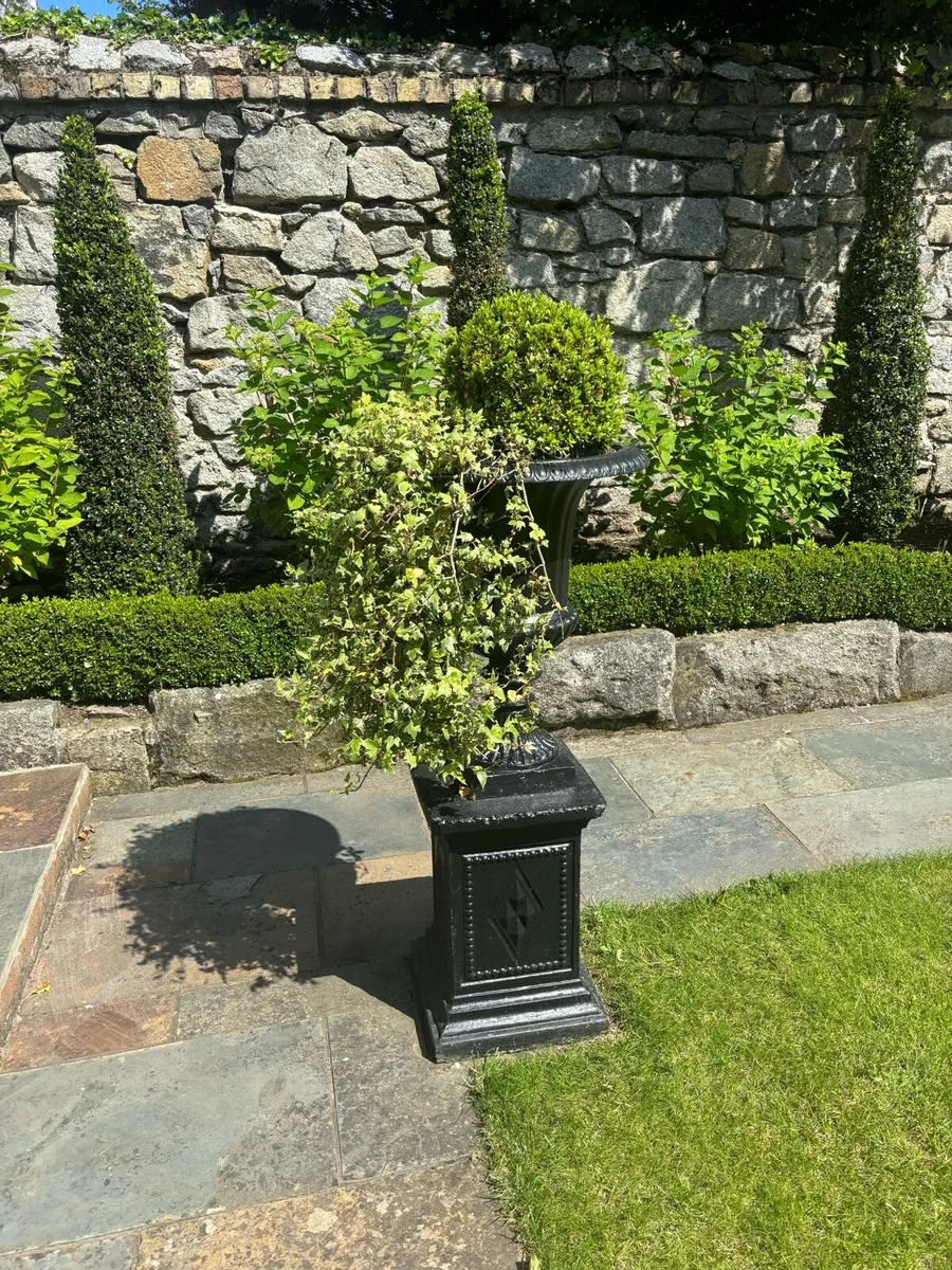 Black planter pot with topiary ( as see ) - Image 3