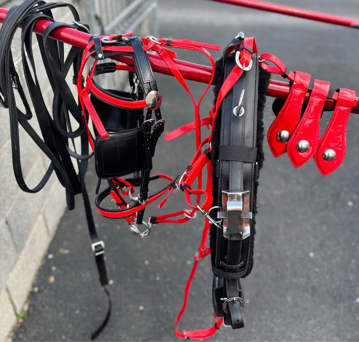 New set Quick itch Harness - Image 2