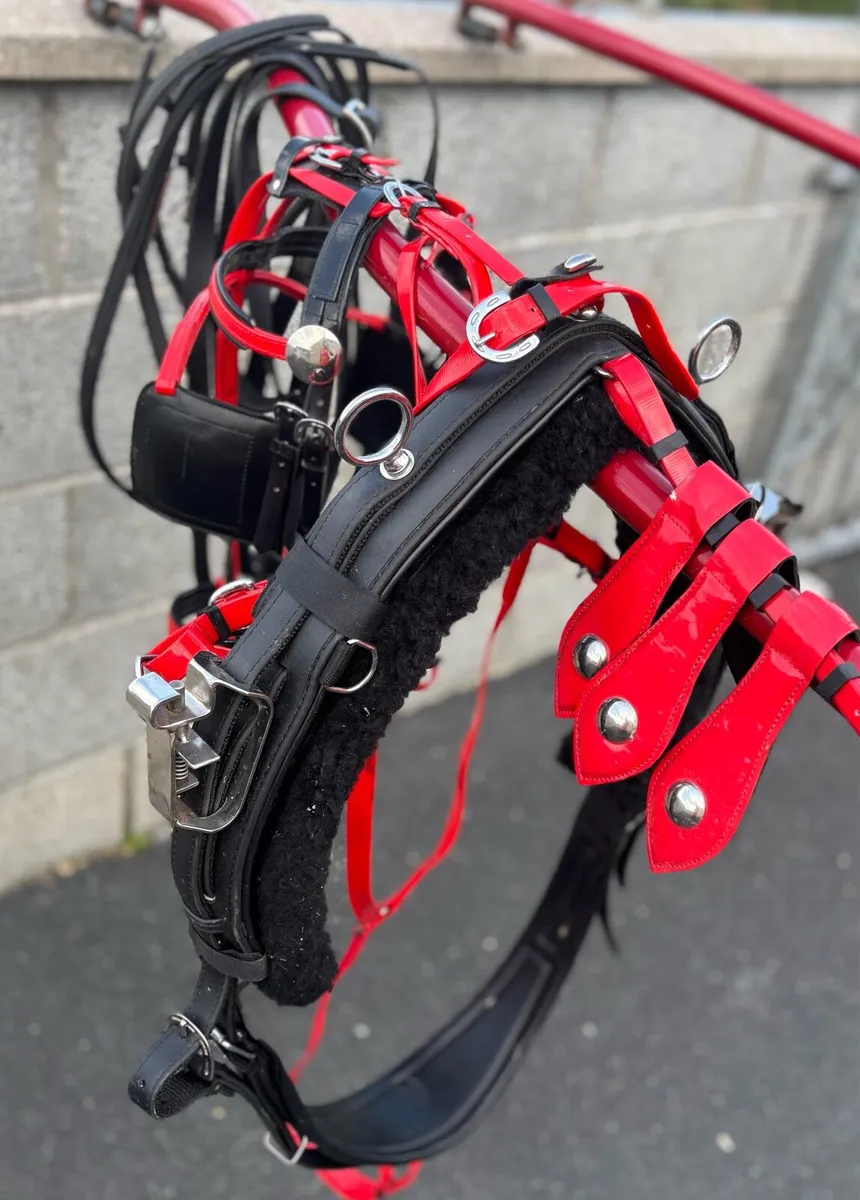 New set Quick itch Harness - Image 3