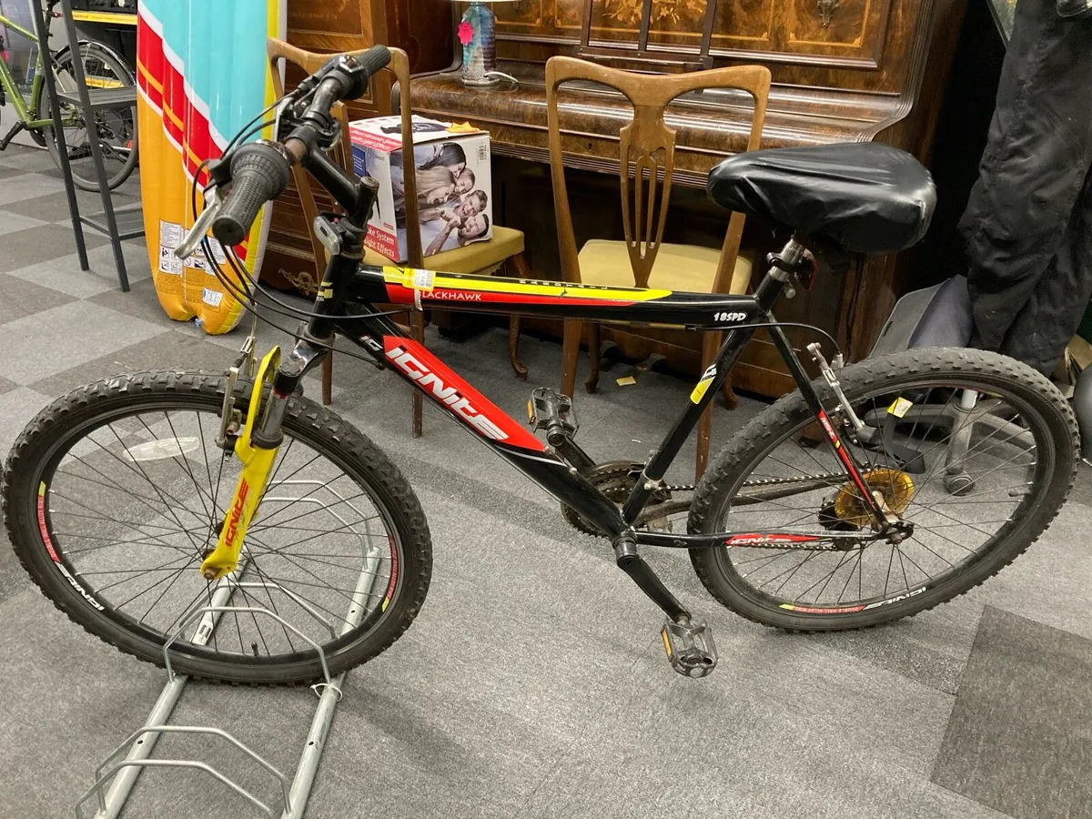 Ignite Bicycle - Image 1