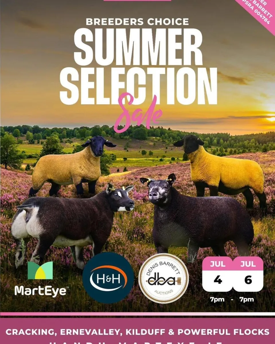 Breeders choice summer selection sale