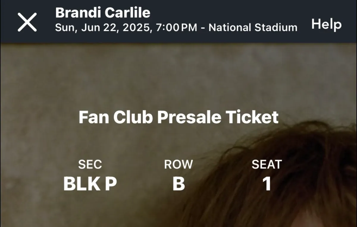 Brandi Carlile - Image 2